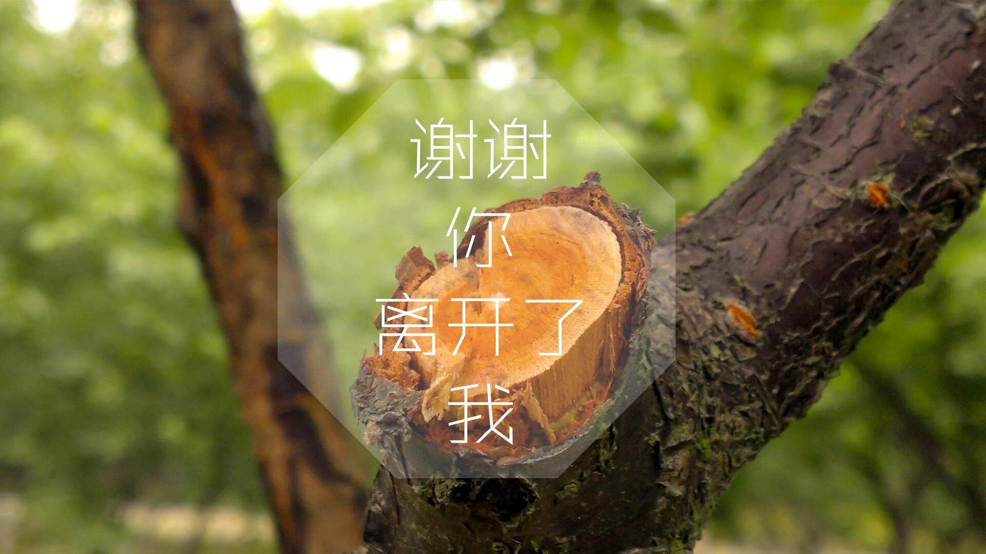 中国篮球运动员海外交流项目取得突破，中国国籍的篮球外国人