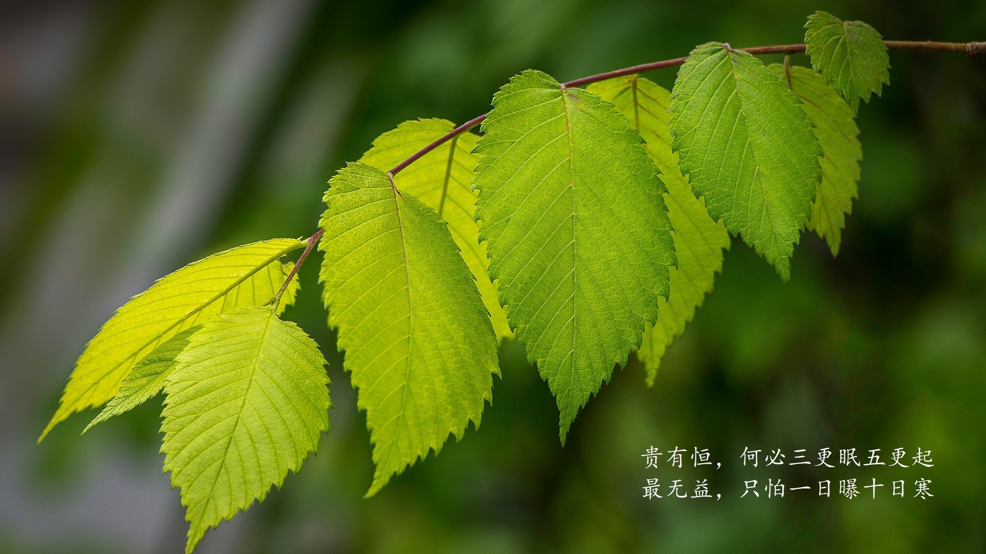 超高速通讯：赛场内的高速网络，超高速的意思