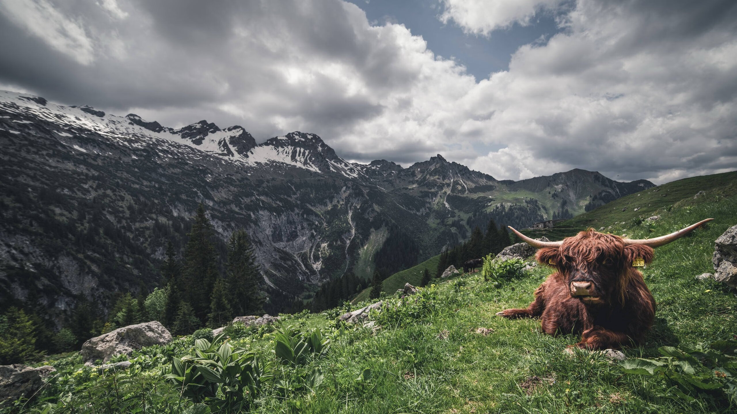 中超球队球队战术执行,中超比赛规则改革