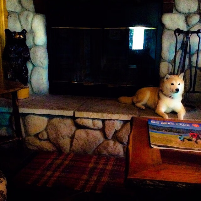 足球青训跨区域交流营激发潜力选手涌现,足球青训城市