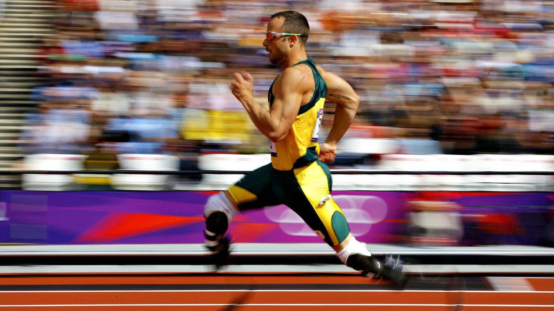 开云网址-WRC车队故事：从车手到团队的奋斗历程，wrc车手是怎样培训的