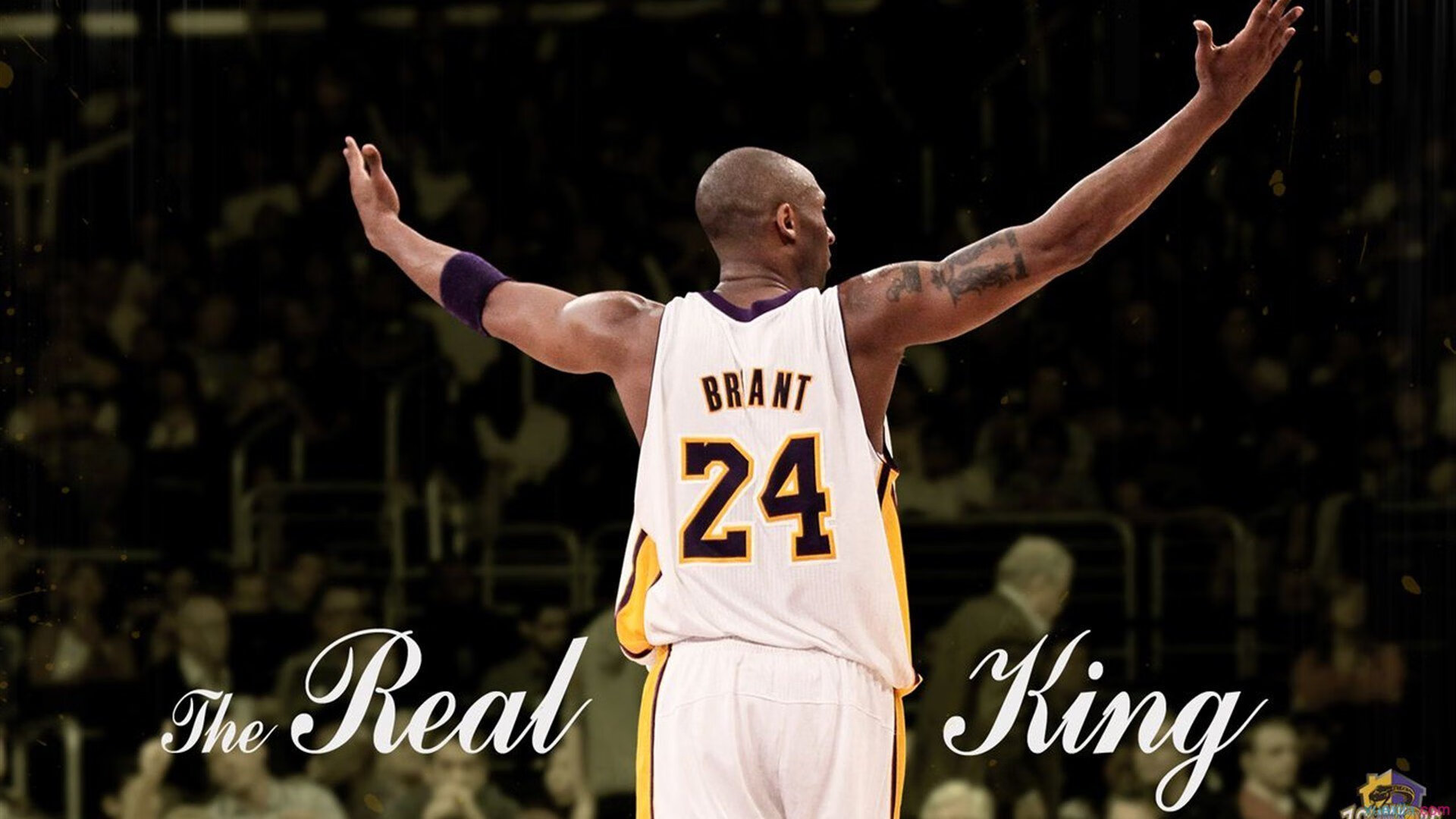 开云网址-篮球青训培养注重全面素质提升，青训篮球培训心得体会